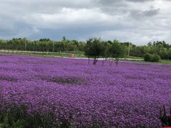 -浔岚云舍mist静谧观景美宿(丽江古城店)