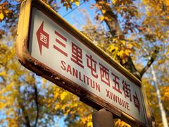 -三里屯东五街银杏大道