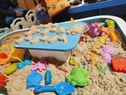 -卡通尼·Safari非洲探索乐园·生日会(金桥国际商业广场店)