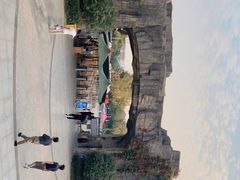 -合肥野生动物园