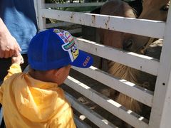 -酷鱼垂钓CLUB(朝阳区博大路店 )