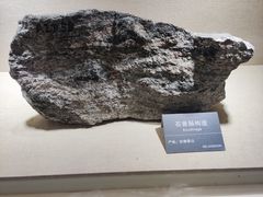 -安徽省地质博物馆