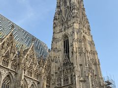 -斯蒂芬主教座堂(Stephansdom)