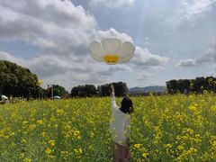 -光明小镇欢乐田园
