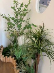 -美肌工坊皮肤管理