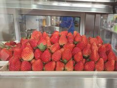 -茶百道(临港大学城店)