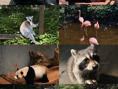 -云南野生动物园