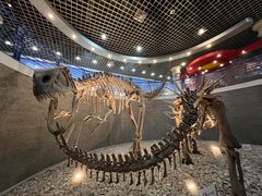 -国家自然博物馆