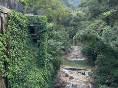 -南海湾森林生态园