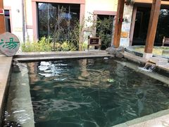 -汉拿山温泉度假酒店