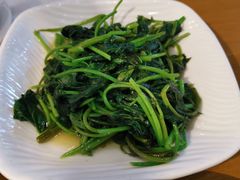 地瓜叶-台北楚楚园馅饼粥(虹桥南丰城店)