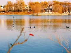 -野鸭湖国家湿地公园
