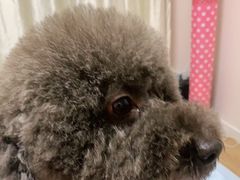 -北京恒爱动物医院(清景园分院)