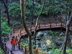 -大岭沟猕猴桃谷风景区