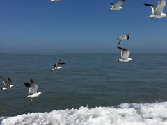 -海驴岛(荣成市)