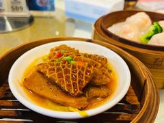 -东方御宴海鲜酒楼(棕泉酒店)