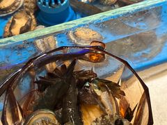 -加餐海鲜自助(宝龙一城店)