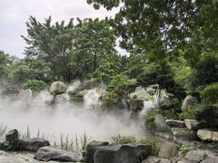 -东莞植物园