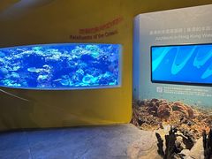 -香港海洋公园