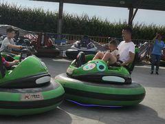 -武汉紫薇都市田园