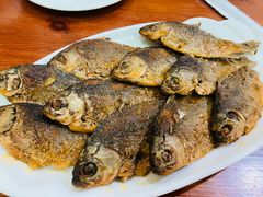-独流饭店(静海区国土资源分局西)