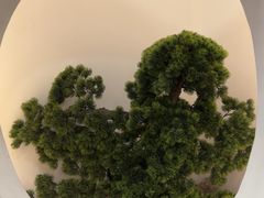-孙盛兴奥灶面馆·蟹黄面·三虾面(直营.拙政园店)