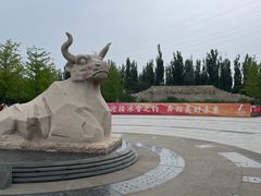 -永定河休闲森林公园