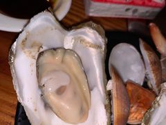 -土蚝·高压锅生蚝(百姓美食街店)