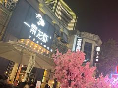 -一棠龙虾•王牌虾球(楚河汉街店)