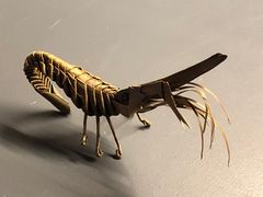 -王红军龙虾(盐仓桥店)