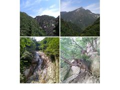 -太平万花山景区