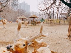 -天津市动物园
