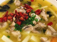 泡椒田鸡王-豐柏轩食府