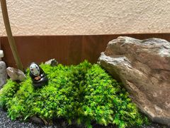 -水之惠鲜鱼料理(王府大街店)