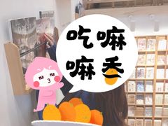 -猫的天空之城概念书店(苏州平江店)