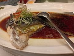 -沪碟·精菜坊(闵行店)
