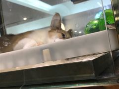 -乐宠宠物店(世纪金源店)