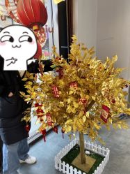 点击看大图 -Cindy Jewelry·钻戒·彩色宝石