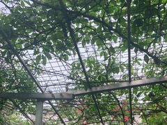 -伊隆斋(什刹海店)