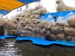 -华夏文旅海洋公园