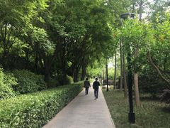 -唐城墙遗址公园