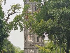 -上海佘山国家森林公园天马山园