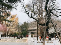 -潭柘寺景区