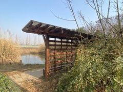 -白鹭湾湿地公园