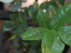 -悦荟牛排餐厅(萨尔图万达店)