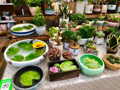 -秦美花卉(天朗·莱茵小城2期店)