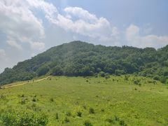 -白草畔自然风景区