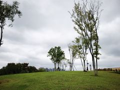 -盘龙城国家考古遗址公园