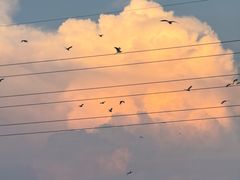 -班达拉奈克国际机场