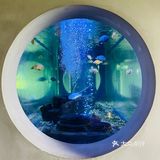 云径•天竹